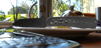 Couteau David Lespect Framelock