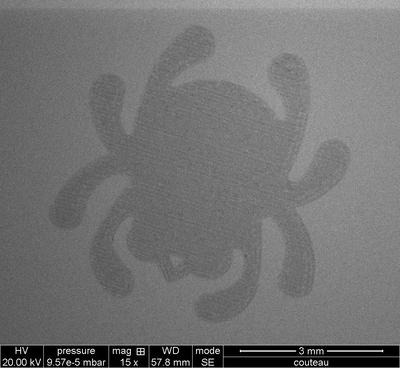 Couteau Spyderco Delica 4 (VG 10) au microscope